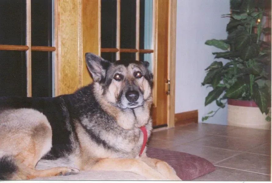 Heidi Part 2