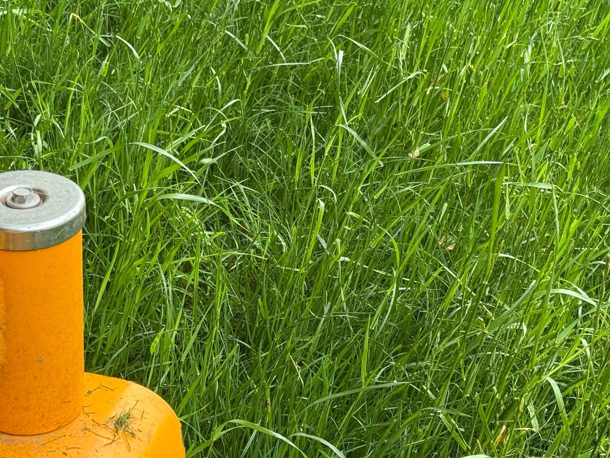 Commercial Lawn Mowing Service