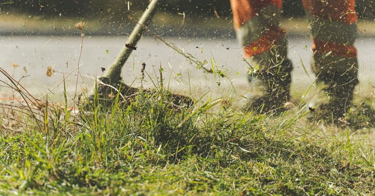 Professional lawn edging service