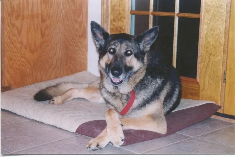 Heidi Part 1