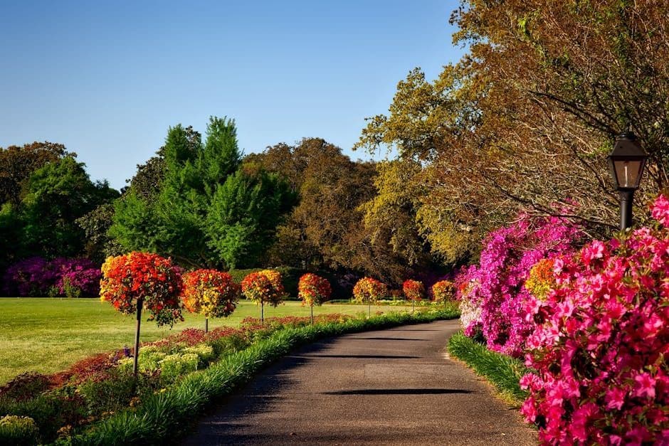 Why Regular Mowing is Key to a Beautiful Yard