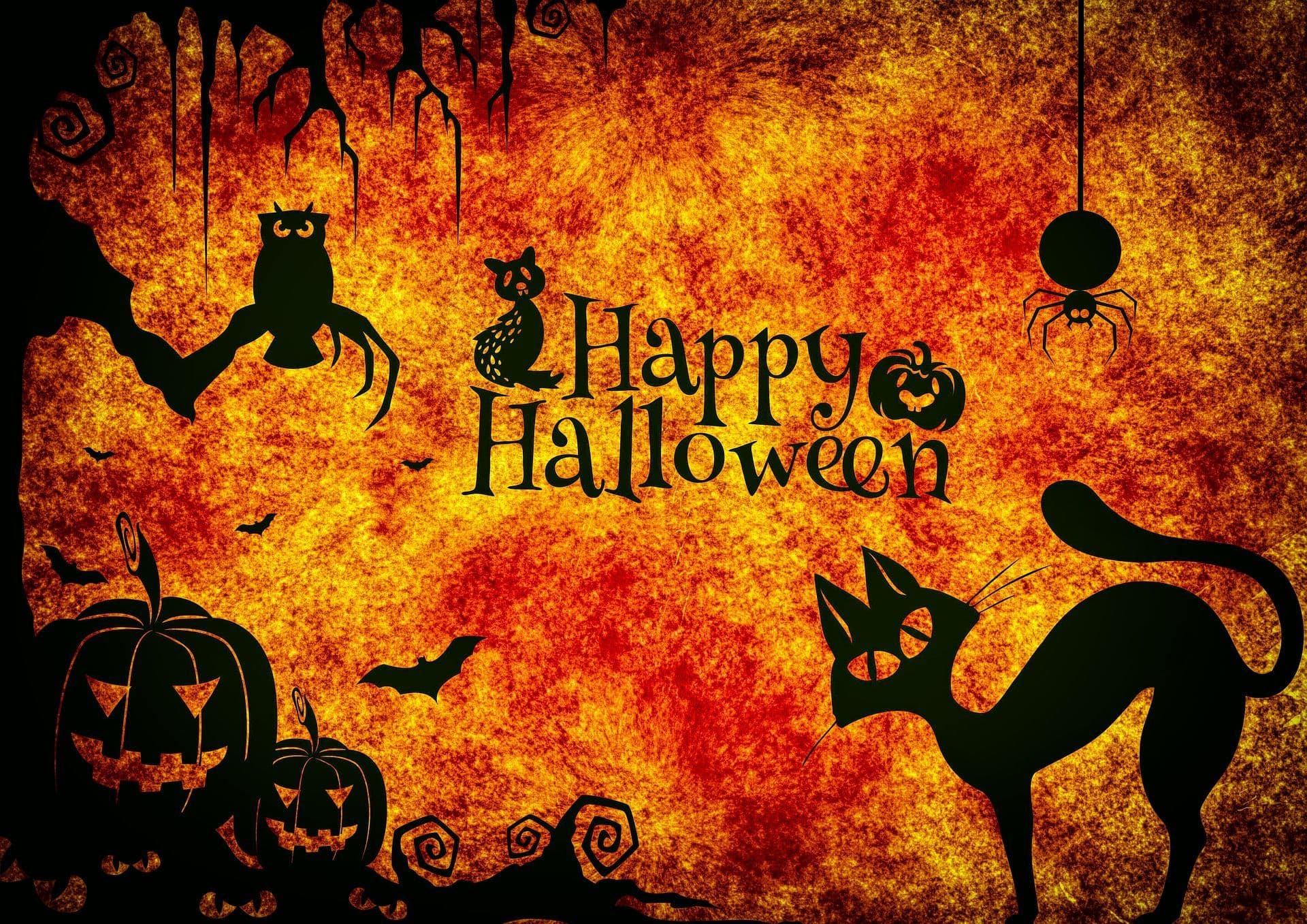 Happy Halloween from Trimming Edge