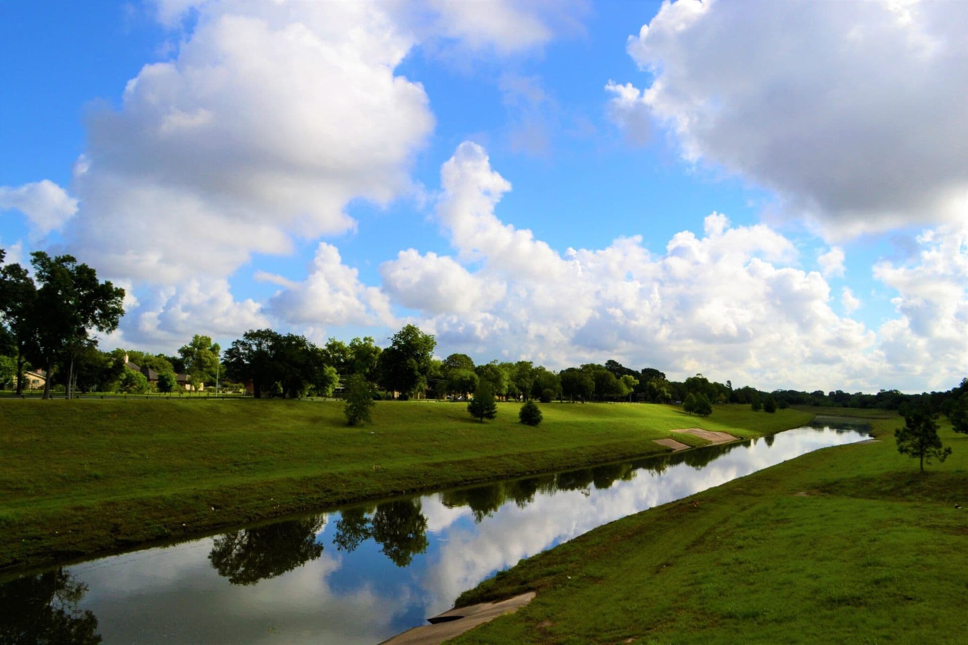 How to Keep Your Lawn Green and Healthy All Year