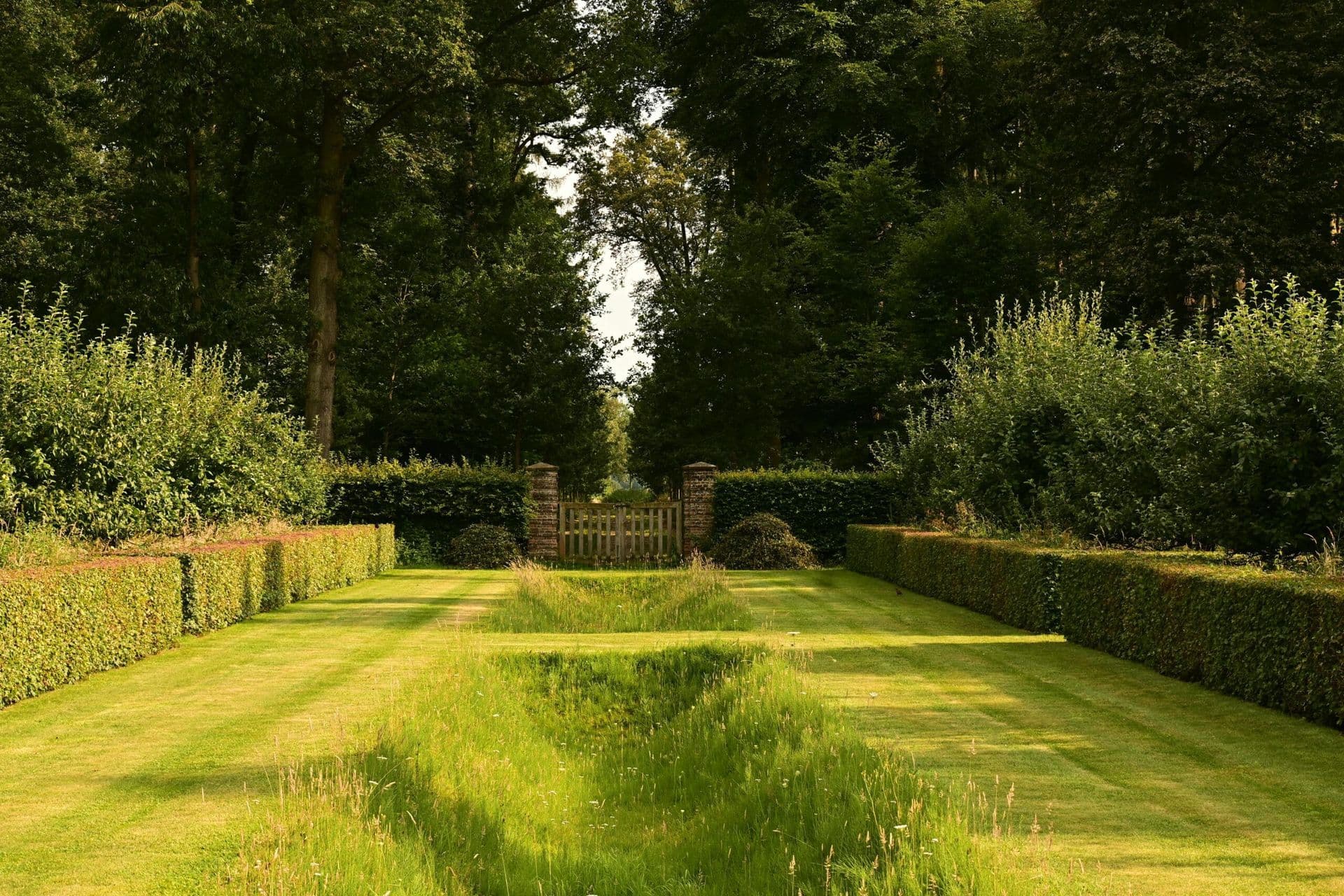 THE IMPORTANCE OF EDGING SERVICES