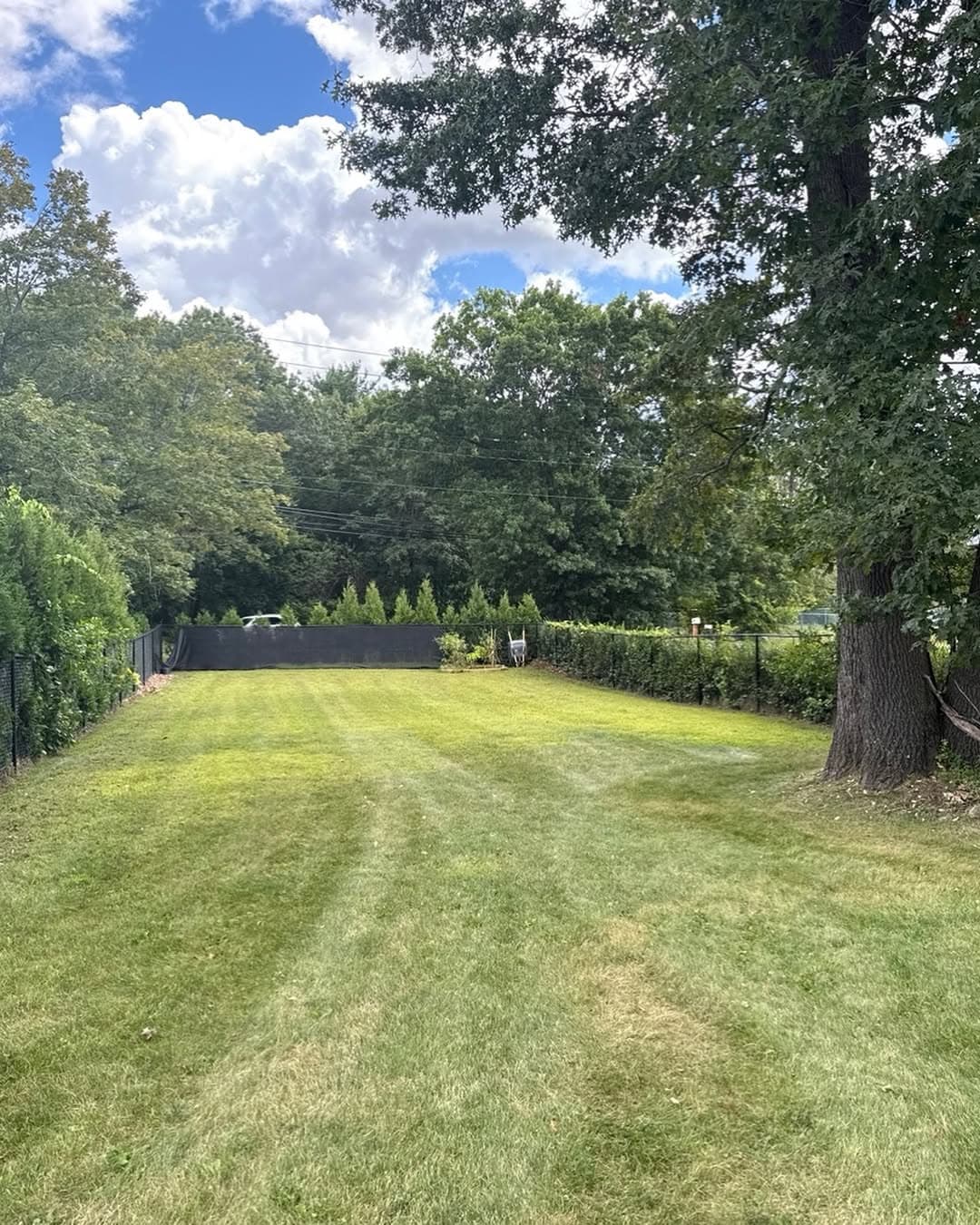 Perfect lawn stripes after professional mowing by Trimming Edge