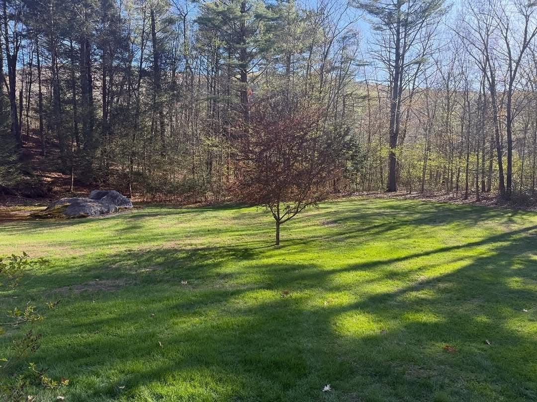 Bush Trimming Services in Montgomery