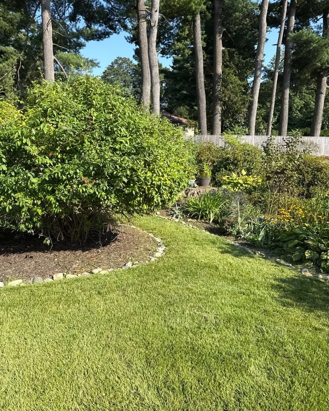 Bush Maintenance in Montgomery