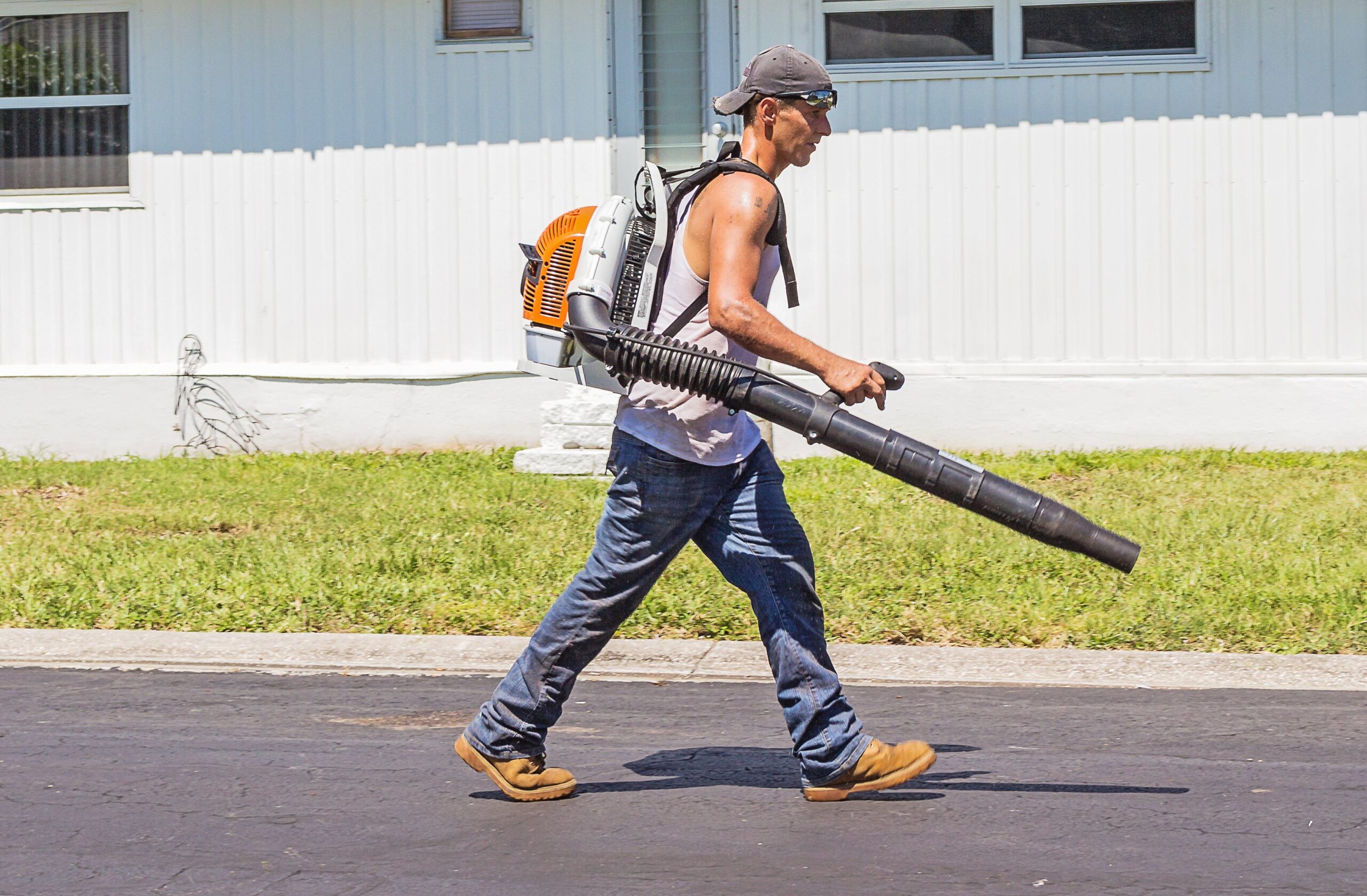 Leaf Blower scaled