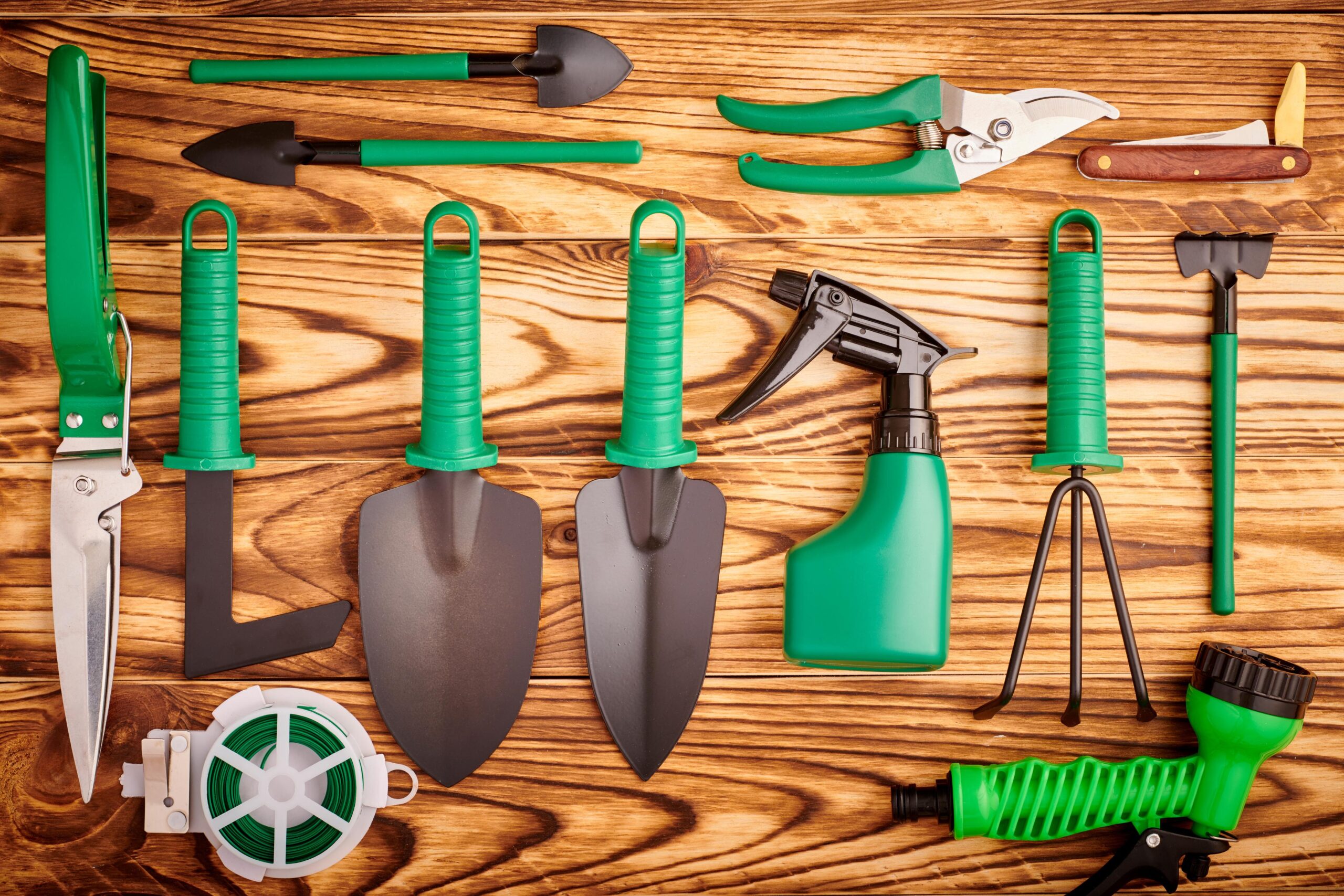 Essential Lawn Care Tools