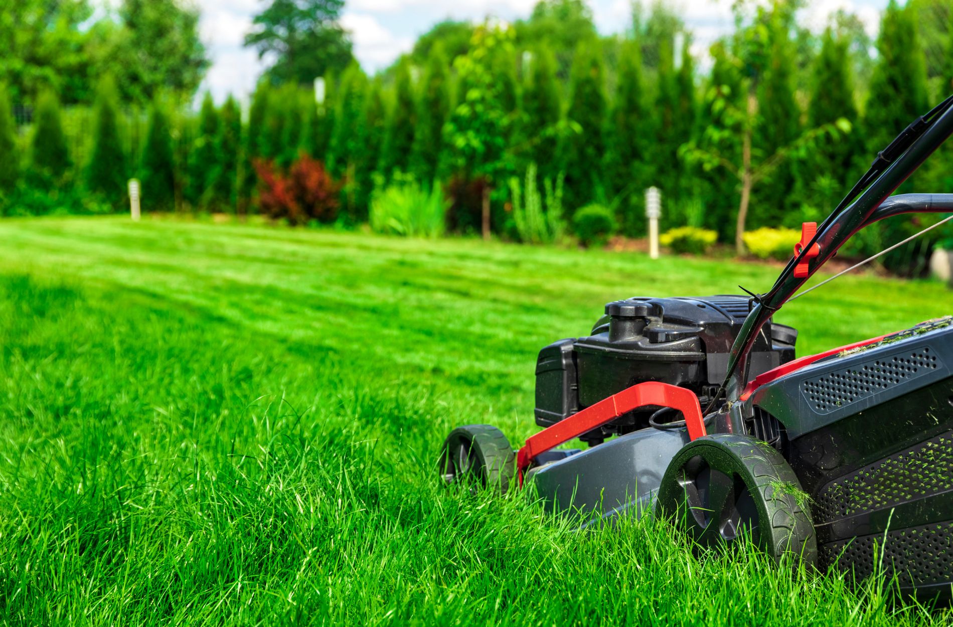 lawn mowing