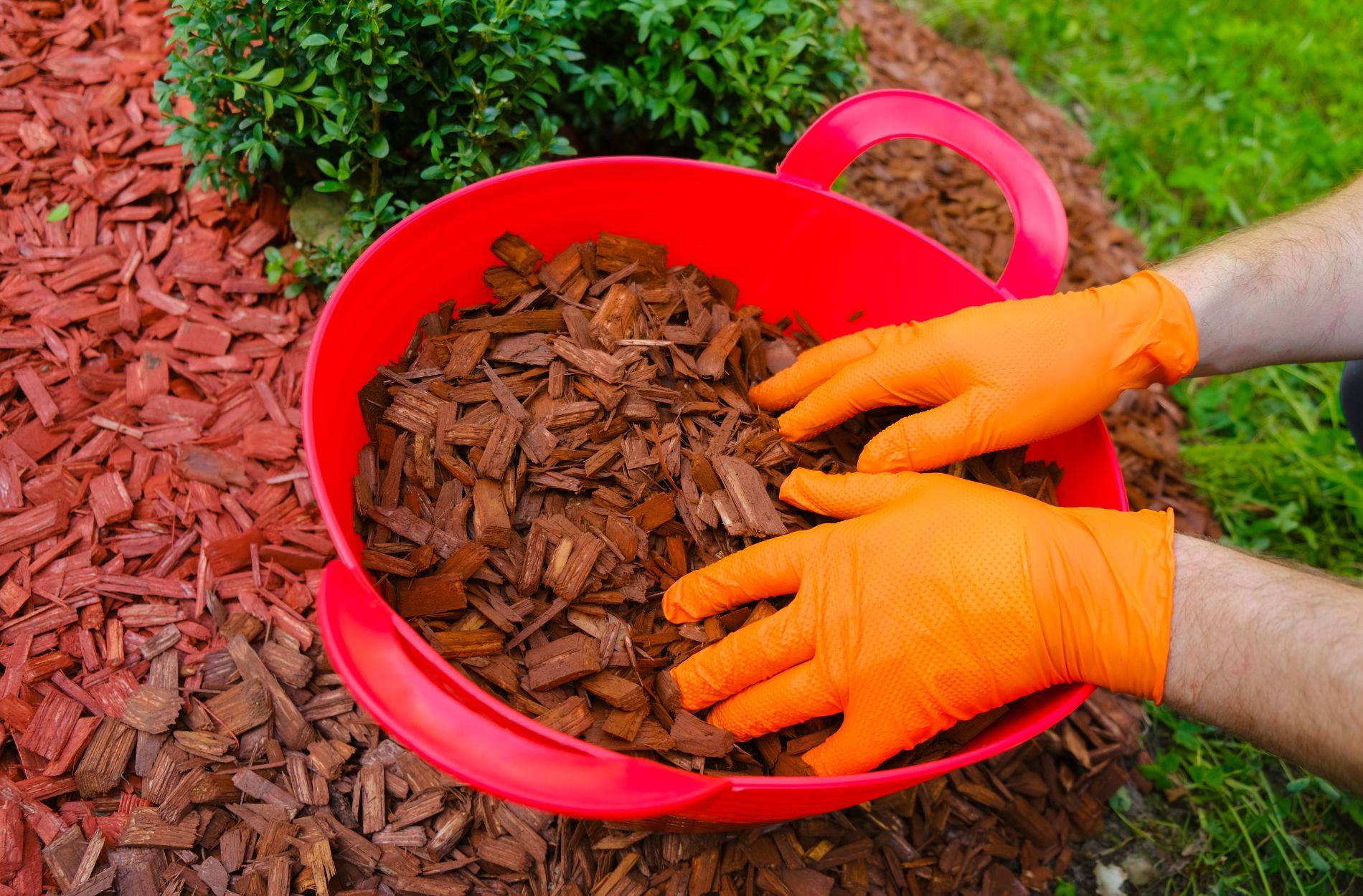 The Benefits of Mulching: Why Your Yard Needs It