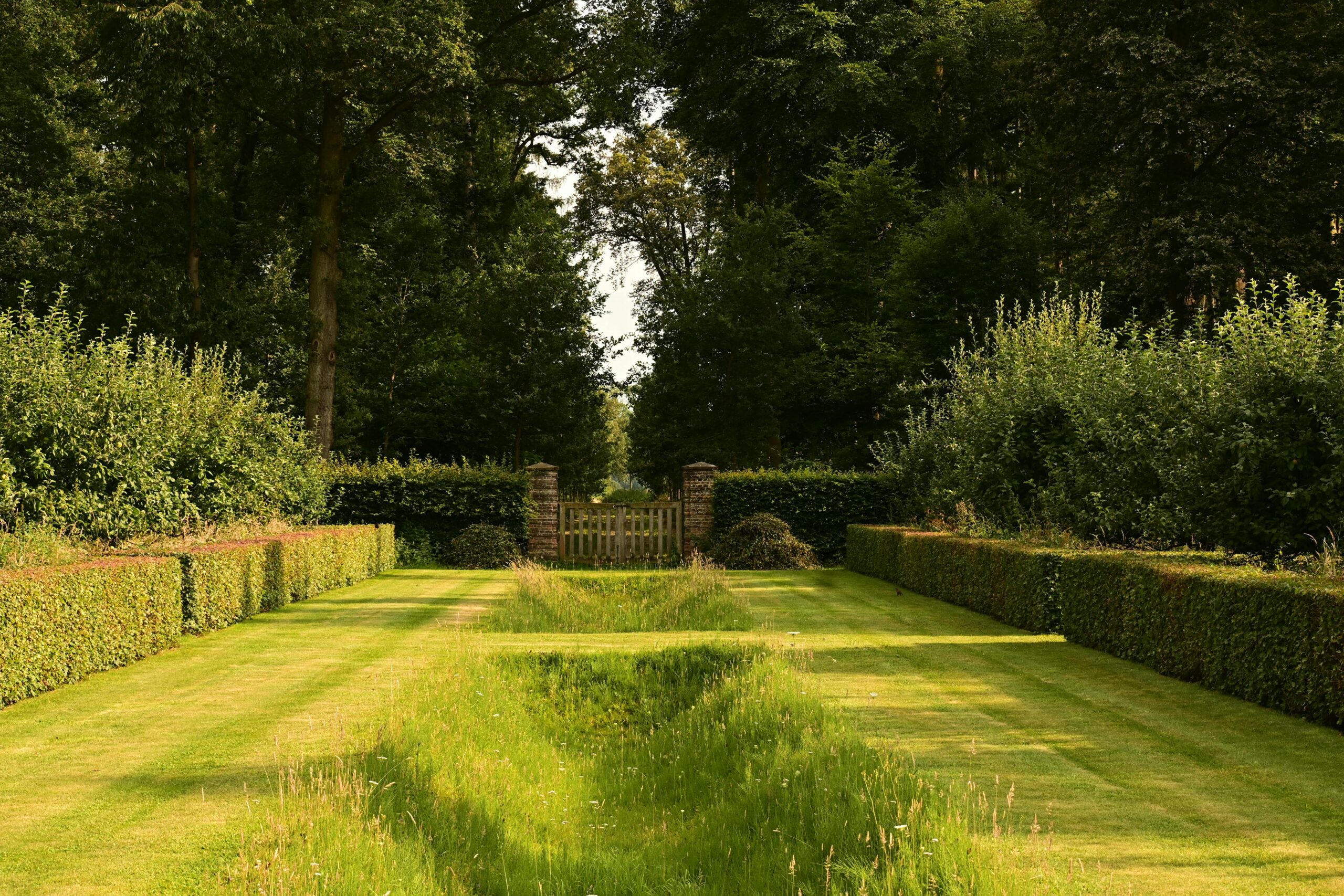 Edged Lawn